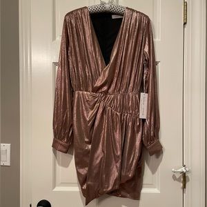 Rose Gold Shimmery Dress